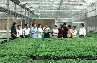 【三元朱农业科技提供受欢迎的蔬菜种植技术员专业培训蔬菜种植技术员专业培训多少钱】-