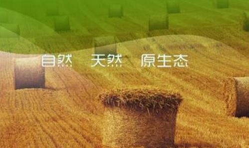图 榴乡农业食品加盟 重庆酒水加盟