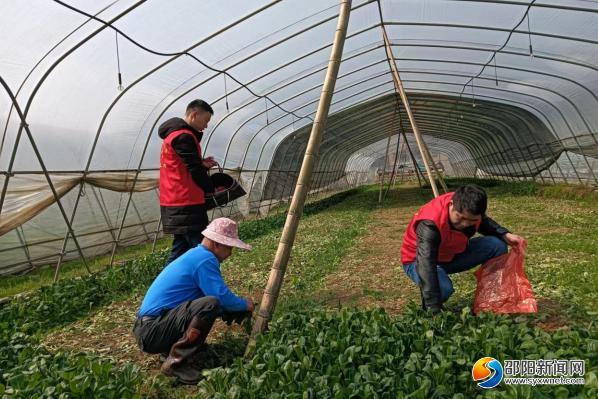 确保全县居民吃到安全放心的农产品,连日来,新邵县农业农村局结合三月
